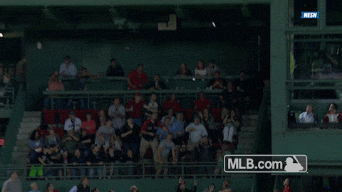 red sox GIF