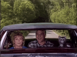 Toonces GIF