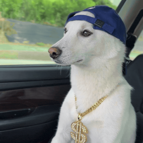 Drive Eminem GIF