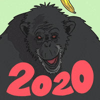 Happy New Year GIF by Save the Chimps
