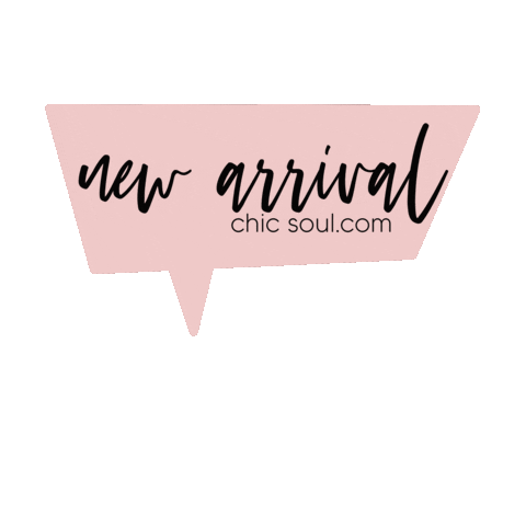 Chic Soul Sticker