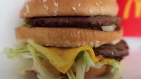 Big Mac Burger GIF