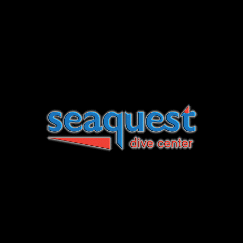 Seaquest Dive center GIF