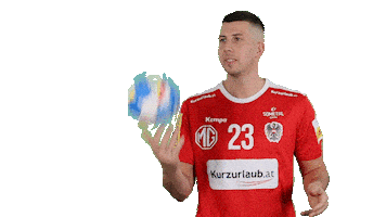 Handball Austria Sticker