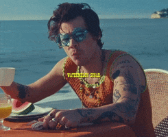 Watermelon Sugar GIF by Harry Styles