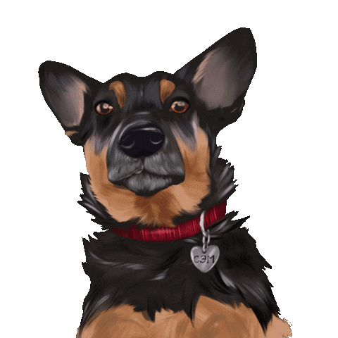 Dog Wink Sticker