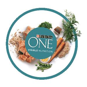 Purinaone Sticker by PURINA COLOMBIA