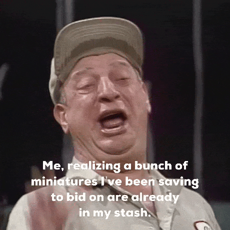 Realizing A Bunch Of Miniatures Ive Been Saving To Bid On Are Already In My Stash GIF
