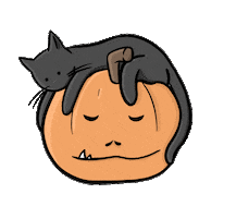 Cat Sticker