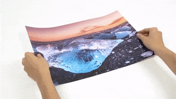 posterlounge GIF