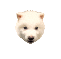 Puppy Wolf Sticker by Colossal