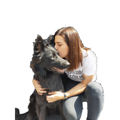 Ehondenschool Sticker