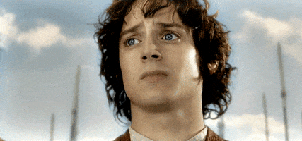 The Lord Of The Rings Request GIF by Maudit