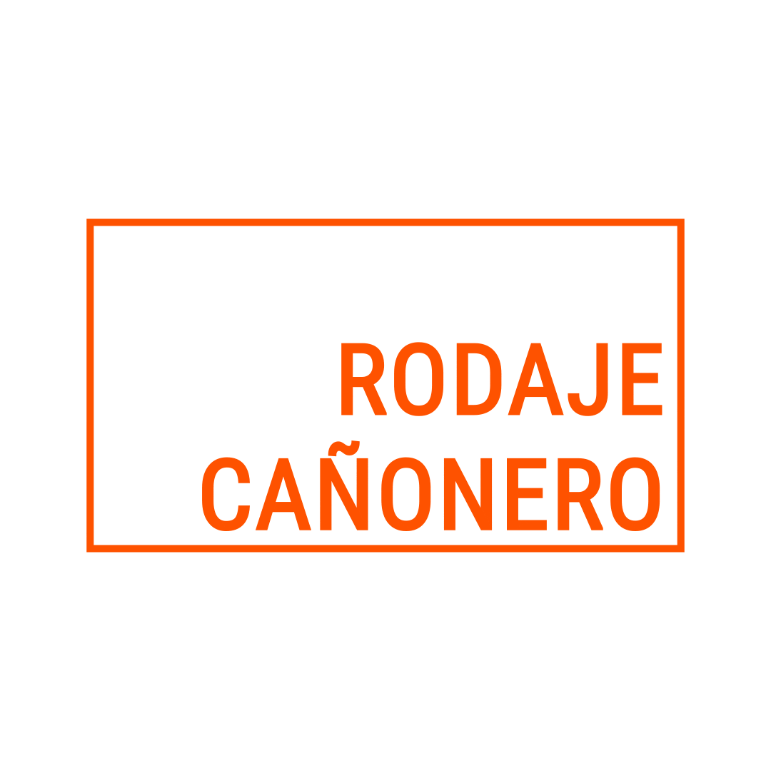 elcanonazo Sticker
