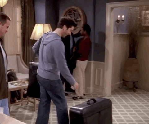 suitcase ross