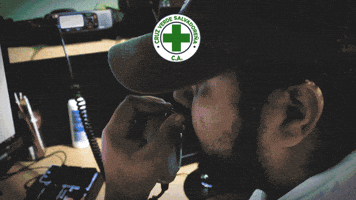 Cruz Verde Salvadoreña GIF