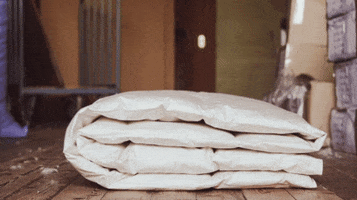 Snuuz GIF