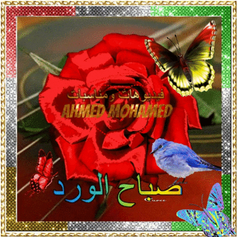 صباح الخير GIF