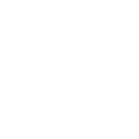Logo Lia Sticker by Liadamuntvalbadia