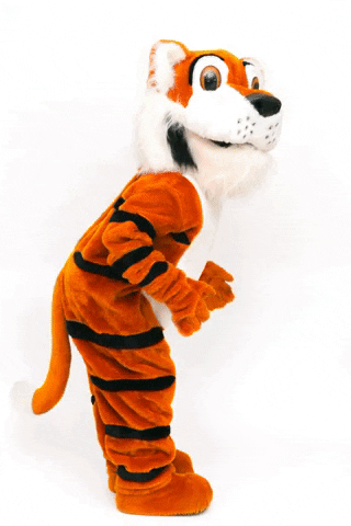 Tigers Tu GIF by Trinity University