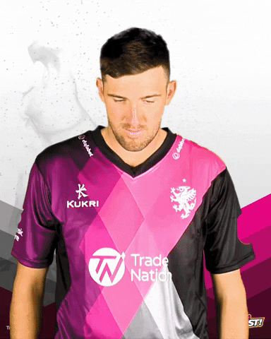 Out GIF by Somerset County Cricket Club
