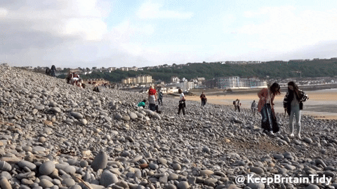 Environment Litter GIF by Keep Britain Tidy - Find & Share on GIPHY
