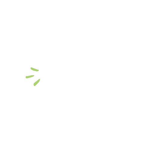 Cat Fashion Sticker by Tricoci  University