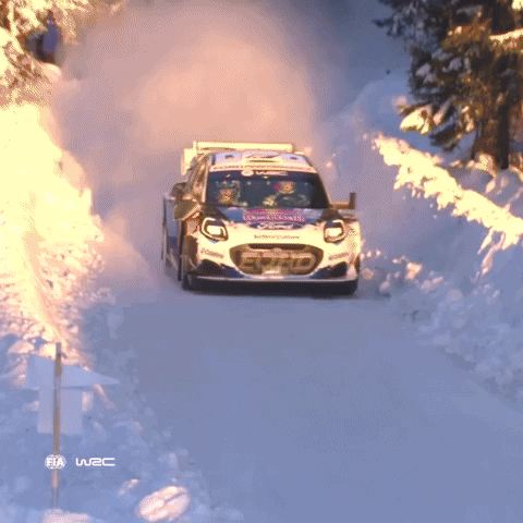 Damage Driving GIF by FIA World Rally Championship