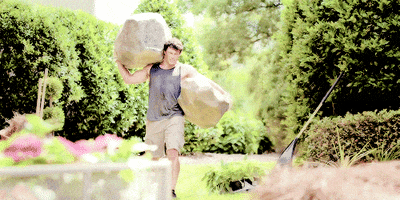 200.gif