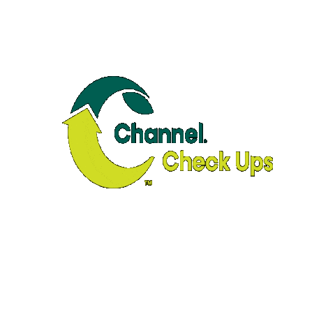 Channelcheckups Sticker by Channel Seed