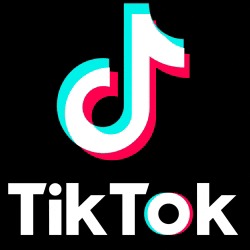 tiktokbrasil tiktok tik tok tiktok brasil tiktok logo GIF