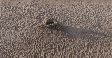 Clara Mae GIF by Russell Dickerson