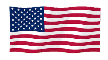 Usa America Sticker by SHEDEVR