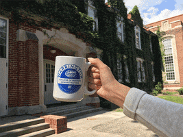 University Of Florida Coffee GIF by UF Warrington College of Business