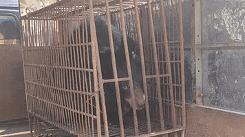200.gif?cid=fc005b0861847965a25e8e16cc784dd2af54361458133616&rid=200.gif&ct=g
