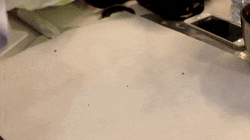 Bread GIF