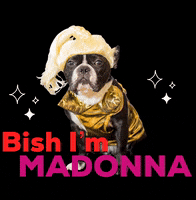 French Bulldog Madonna GIF by Oscar The Frenchie