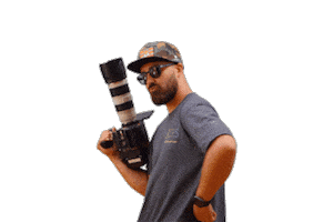 Check That Red Camera Sticker by Telling histories