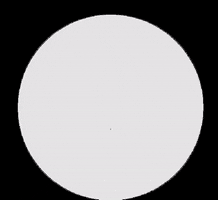 Minsi GIF