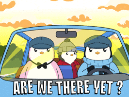 Driving Road Trip GIF by Pudgy Penguins Driving Road Trip GIF by Pudgy Penguins