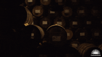 Happy Hour Drinking GIF by Casamigos