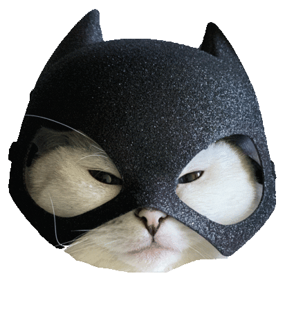 Batman Meow Sticker
