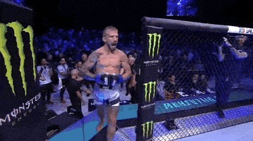 Mixed Martial Arts Sport GIF by UFC