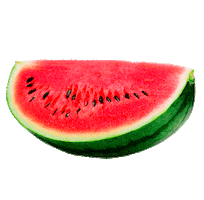 Fruit Watermelon Sticker by Fertilaqua