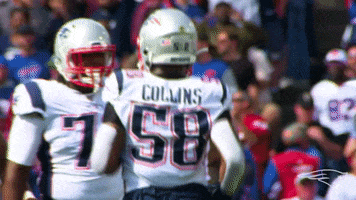 Jamie Collins Reaction GIF by New England Patriots