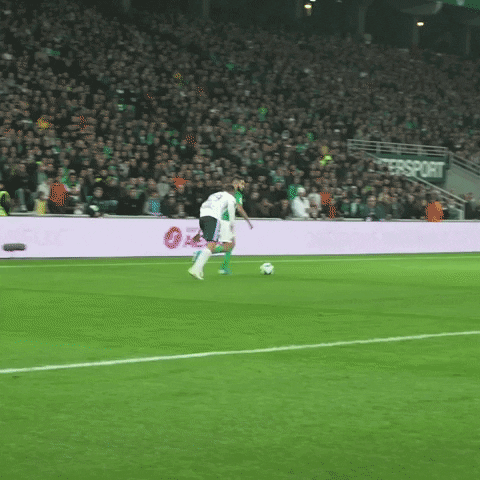 Ligue 1 Football GIF by AS Saint-Étienne