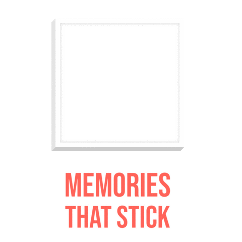 Stickies - Wall Art In Minutes Sticker