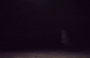 Brazil Taking GIF