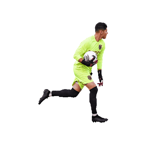 NISA Soccer Sticker