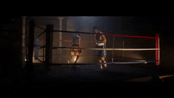 michael-blume ring gender boxers in between GIF